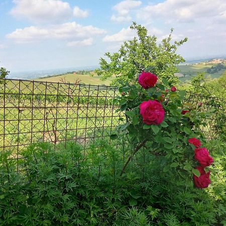 Morelli House Guest House Montalbo ภายนอก รูปภาพ