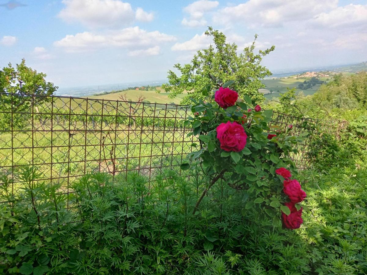 Morelli House Guest House Montalbo ภายนอก รูปภาพ